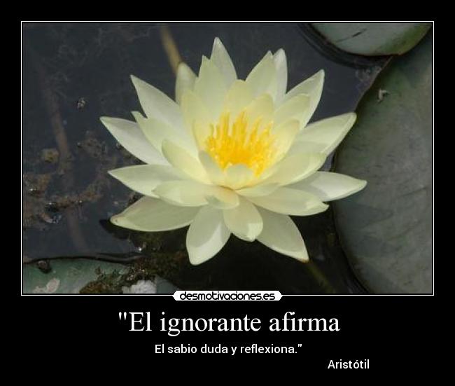 El ignorante afirma - El sabio duda y reflexiona.
                                                                                      Aristótil