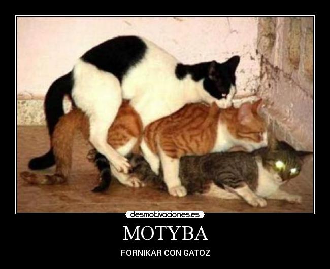MOTYBA -