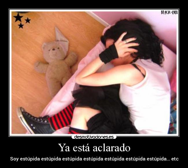 carteles soy estupida desmotivaciones