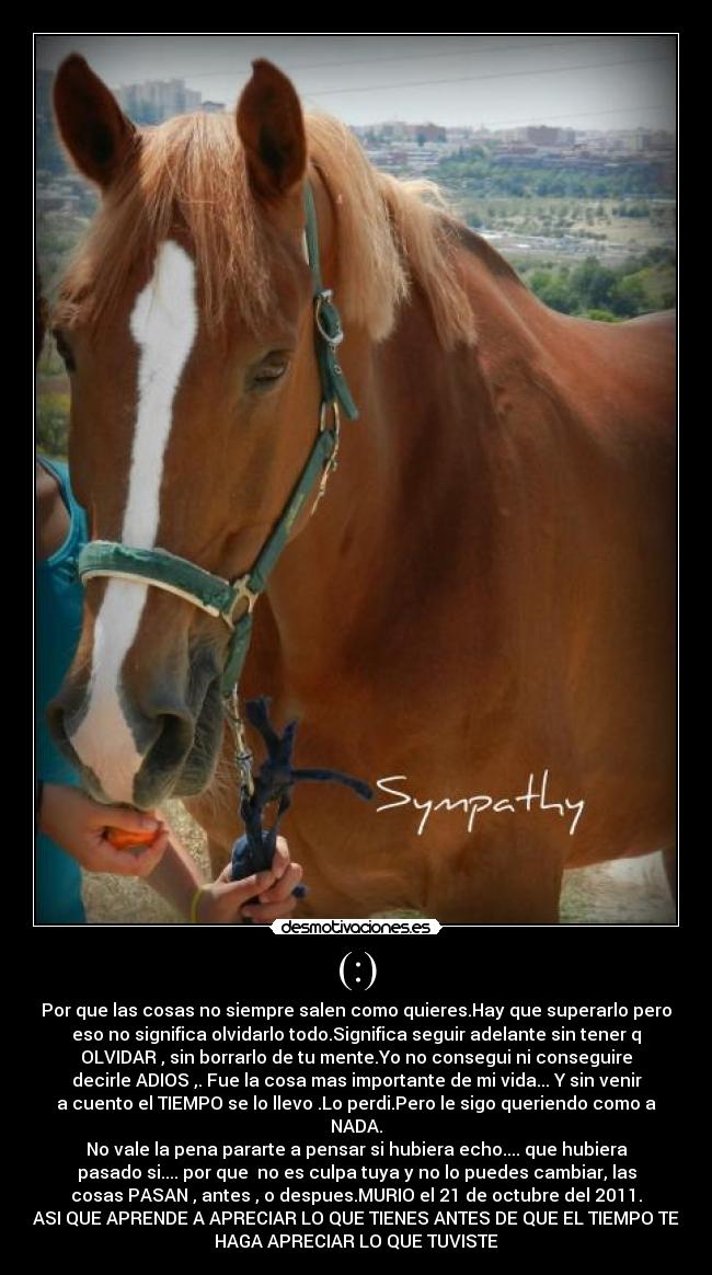 (:) - Por que las cosas no siempre salen como quieres.Hay que superarlo pero
eso no significa olvidarlo todo.Significa seguir adelante sin tener q
OLVIDAR , sin borrarlo de tu mente.Yo no consegui ni conseguire
decirle ADIOS ,. Fue la cosa mas importante de mi vida... Y sin venir
a cuento el TIEMPO se lo llevo .Lo perdi.Pero le sigo queriendo como a
NADA.
No vale la pena pararte a pensar si hubiera echo.... que hubiera
pasado si.... por que  no es culpa tuya y no lo puedes cambiar, las
cosas PASAN , antes , o despues.MURIO el 21 de octubre del 2011.
ASI QUE APRENDE A APRECIAR LO QUE TIENES ANTES DE QUE EL TIEMPO TE
HAGA APRECIAR LO QUE TUVISTE