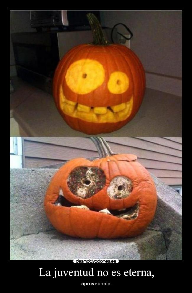 La juventud no es eterna, - aprovéchala.