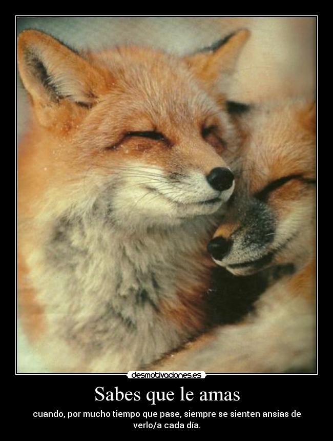 Sabes que le amas - cuando, por mucho tiempo que pase, siempre se sienten ansias de verlo/a cada día.