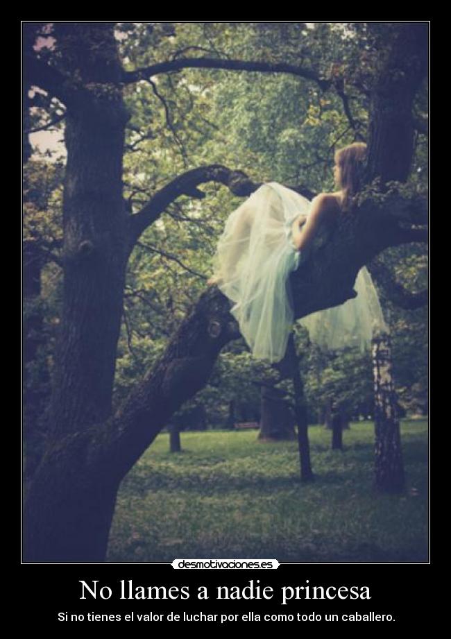 No llames a nadie princesa - Si no tienes el valor de luchar por ella como todo un caballero.