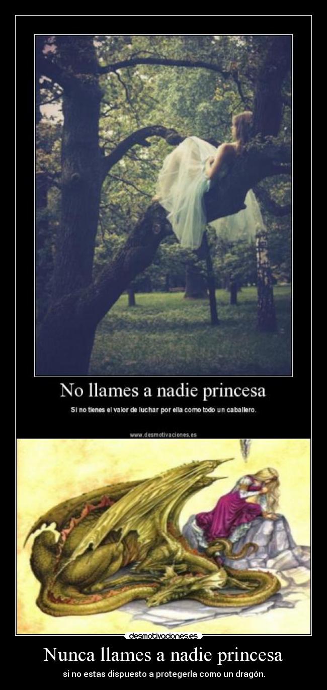 carteles dragon princesa desmotivaciones