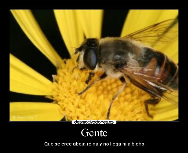 carteles gente desmotivaciones