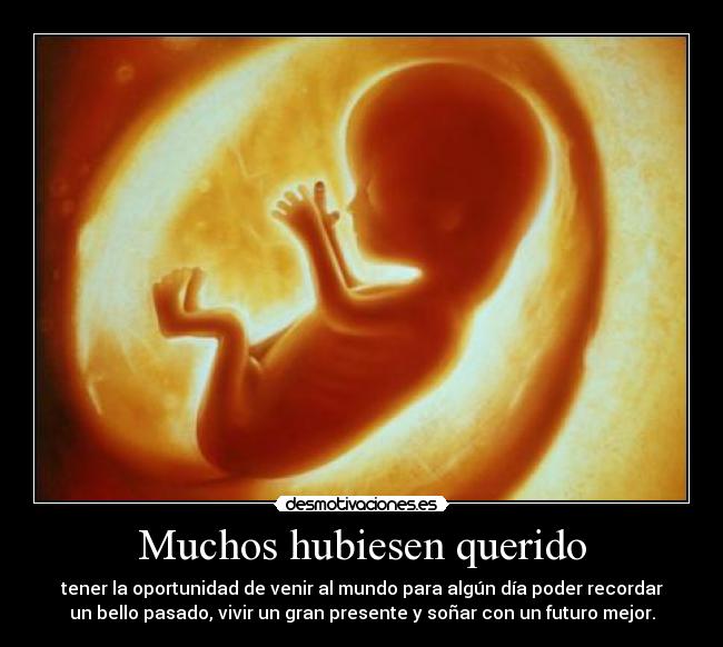 Muchos hubiesen querido - 