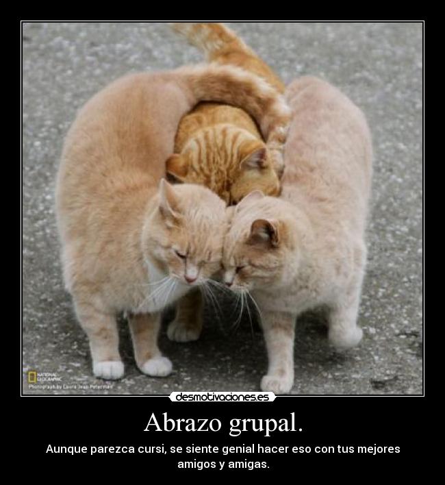 Abrazo grupal. -