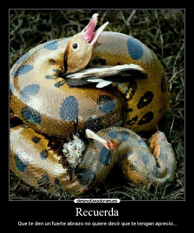 Recuerda - Que te den un fuerte abrazo no quiere decir que te tengan aprecio...