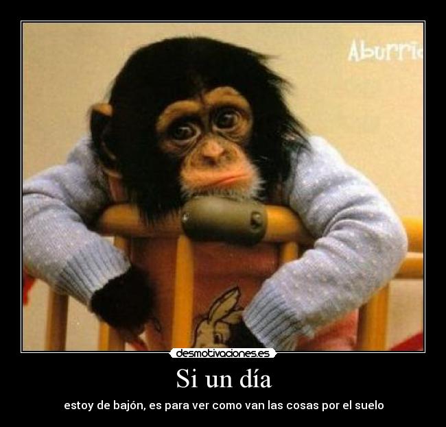 Si un día - estoy de bajón, es para ver como van las cosas por el suelo