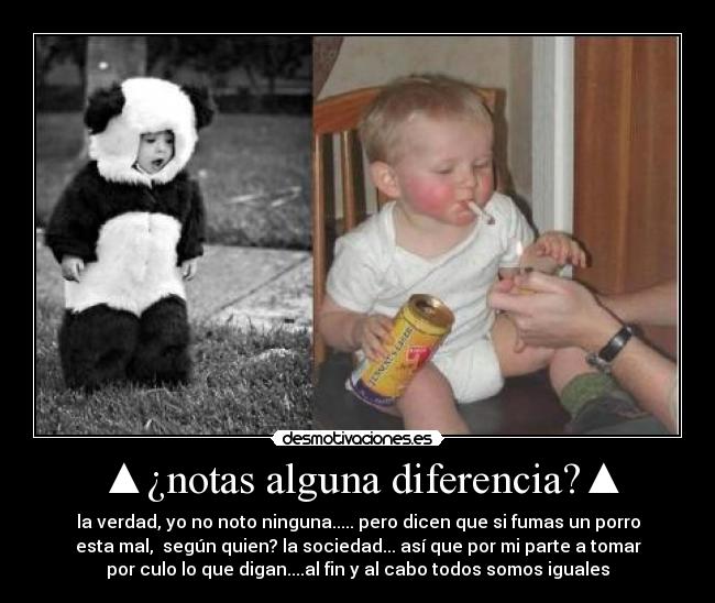 ▲¿notas alguna diferencia?▲ - 