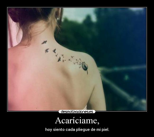 carteles acariciame desmotivaciones