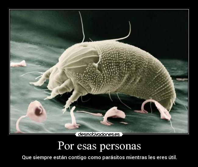 Las lombrices el contagio de la persona a la persona