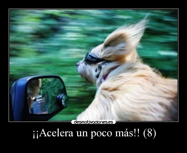 ¡¡Acelera un poco más!! (8) - 