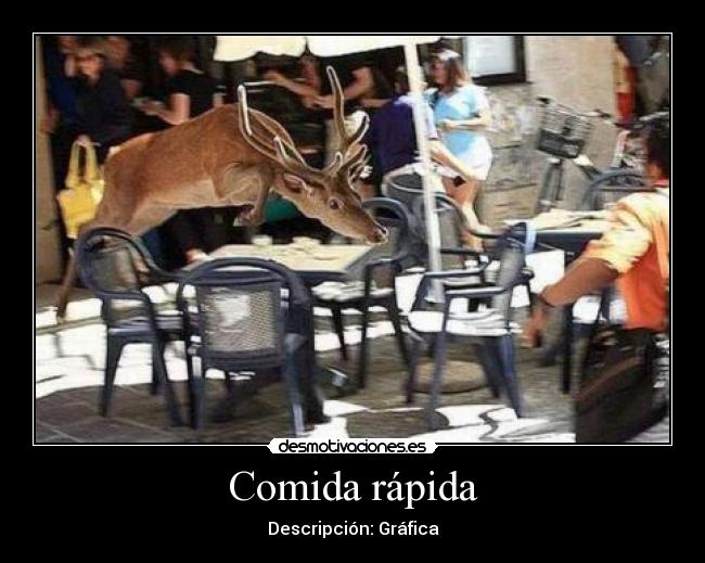 Comida rápida - Descripción: Gráfica