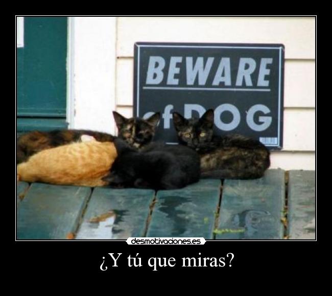 ¿Y tú que miras? -