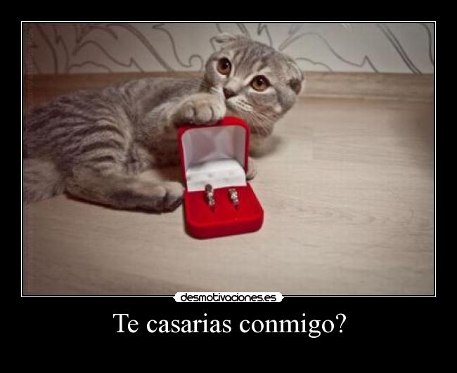 Te casarias conmigo? -