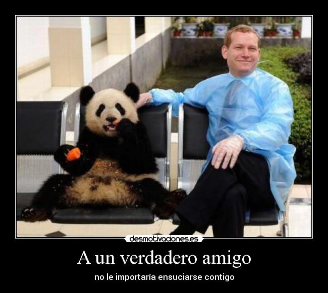 A un verdadero amigo - 