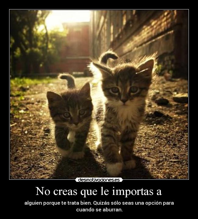 No creas que le importas a - 