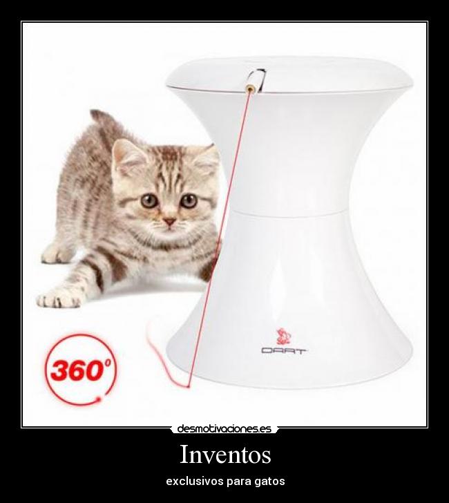 Inventos - exclusivos para gatos