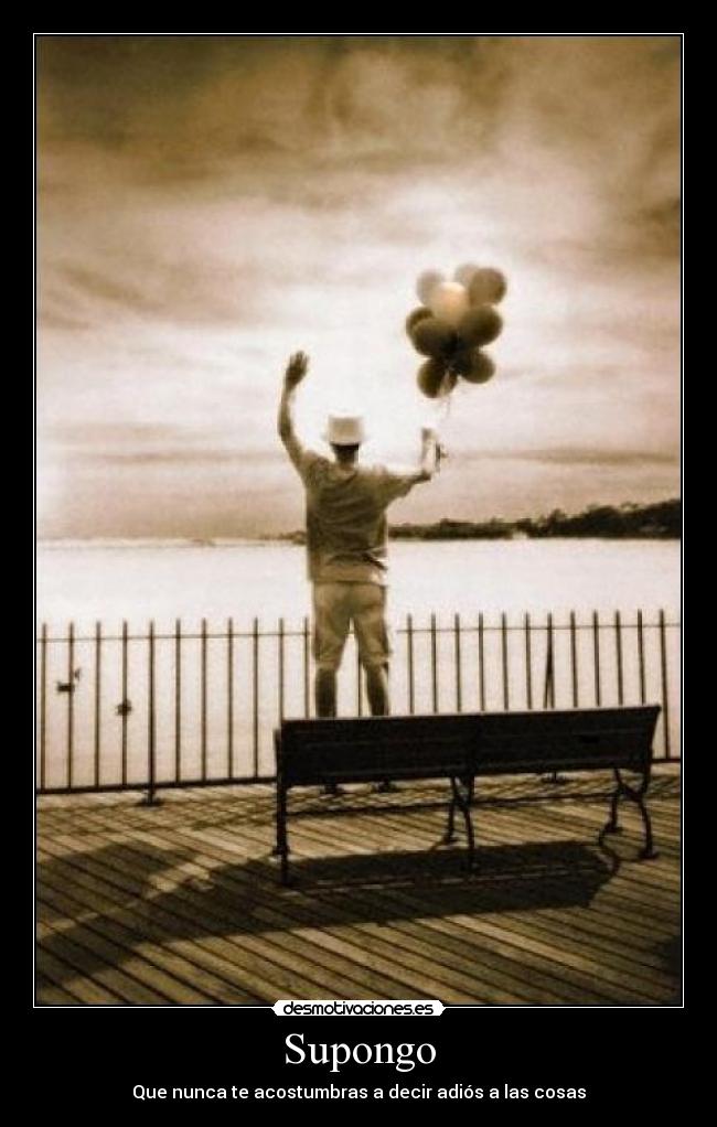 Supongo - Que nunca te acostumbras a decir adiós a las cosas
