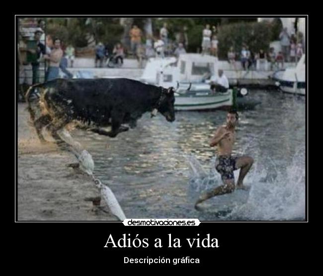 carteles vida que pille toro desmotivaciones