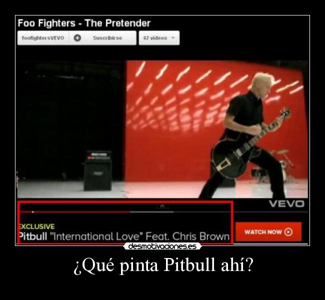 ¿Qué pinta Pitbull ahí? -