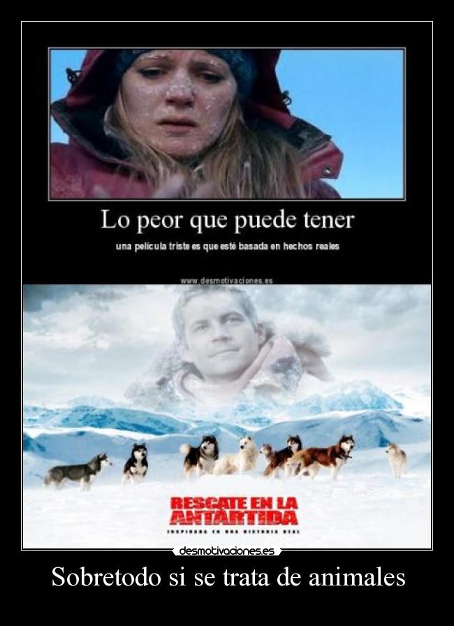 Sobretodo si se trata de animales -