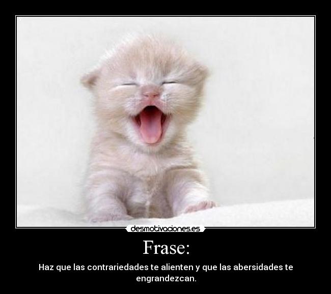 carteles frase desmotivaciones