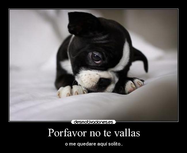 Porfavor no te vallas - 