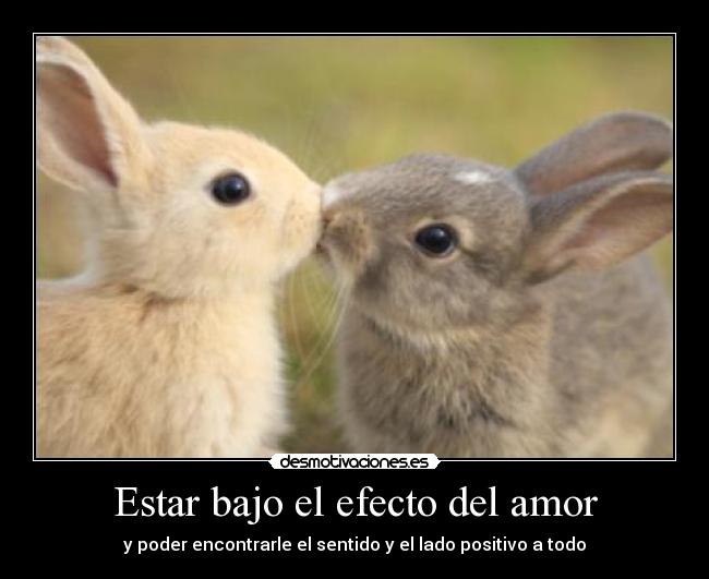 Estar bajo el efecto del amor - y poder encontrarle el sentido y el lado positivo a todo