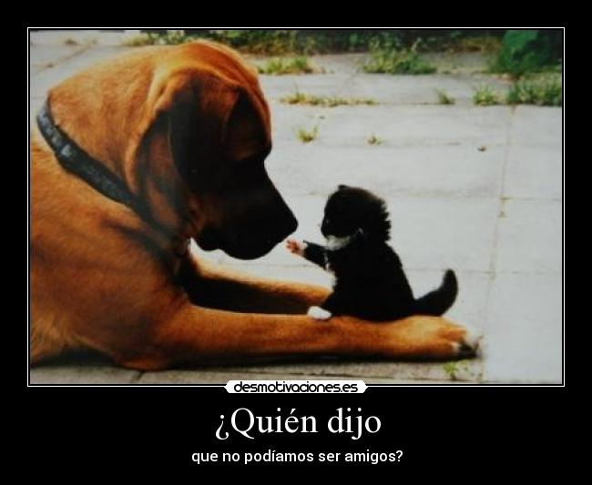 carteles desmotivaciones