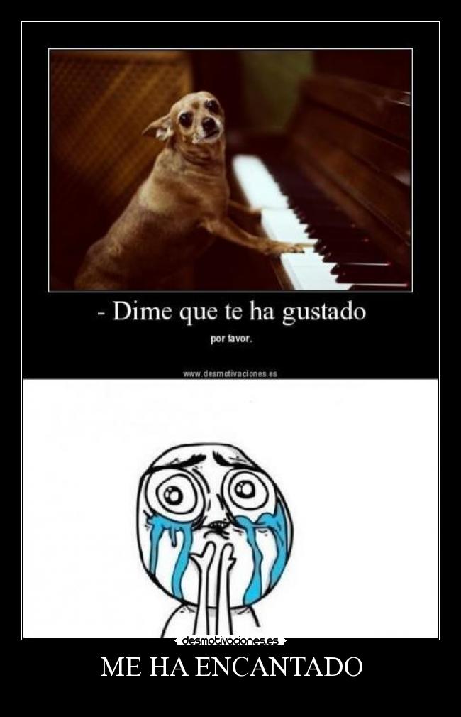 ME HA ENCANTADO -