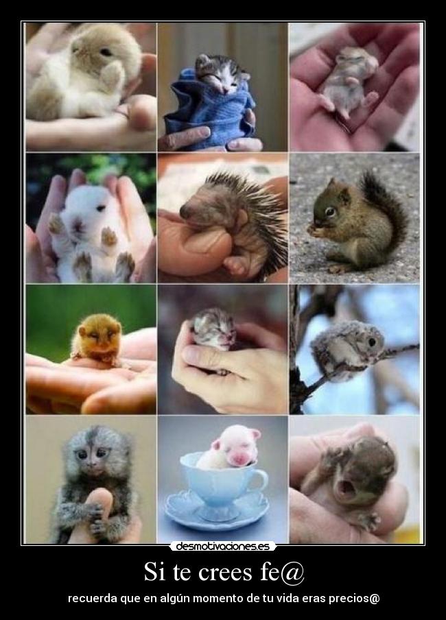 carteles crees desmotivaciones