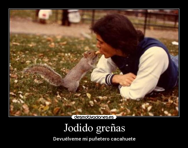 carteles las ardillas molan desmotivaciones