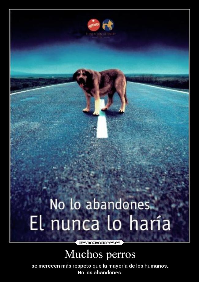 Muchos perros - 