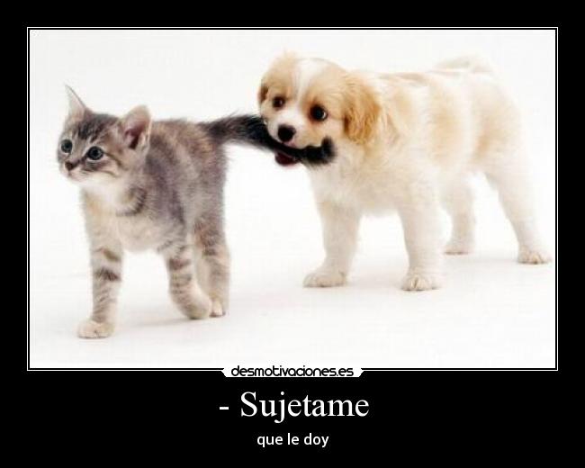 - Sujetame -