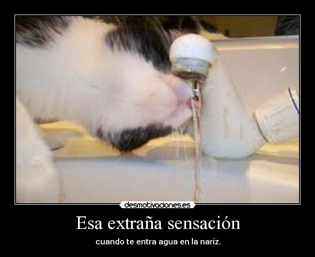 Esa extraña sensación -