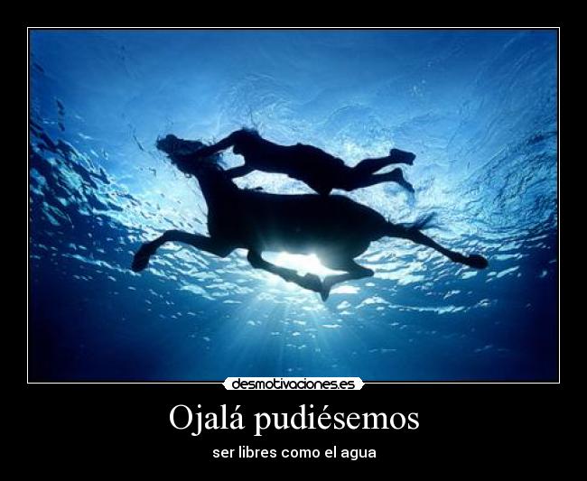 Ojalá pudiésemos - 