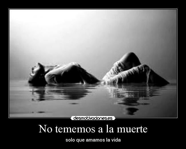 carteles muerte vida desmotivaciones