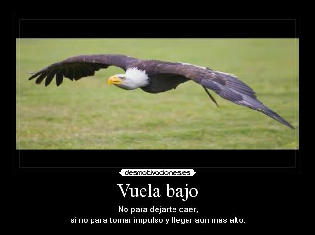 Vuela bajo - No para dejarte caer,
si no para tomar impulso y llegar aun mas alto.