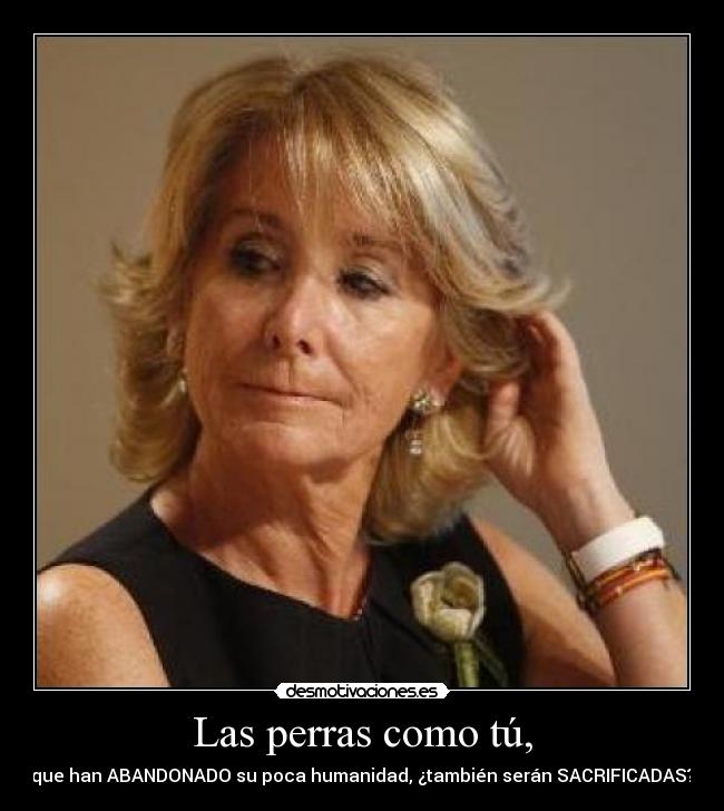 carteles nueva ley esperanza aguirre prohibira alimentar los animales abandonados permitira sacri desmotivaciones