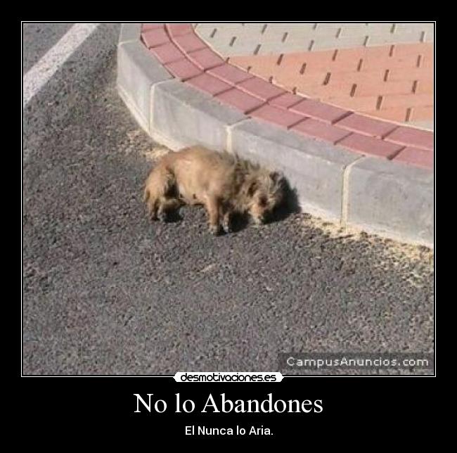 No lo Abandones - 