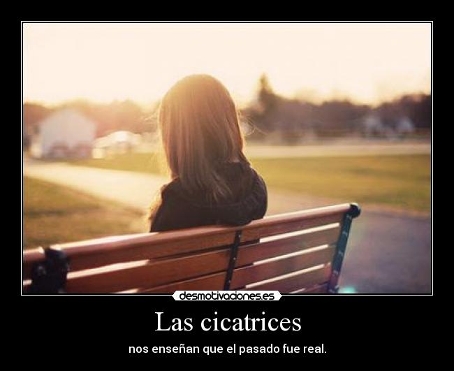 carteles las cicatrices nos ensenan que pasado fue real desmotivaciones