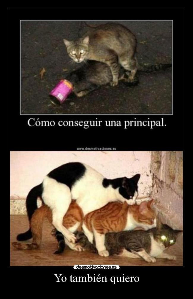 carteles alwayscool desmotivaciones