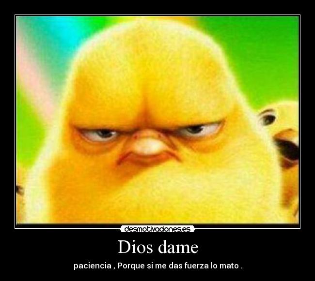 Dios dame - paciencia , Porque si me das fuerza lo mato .