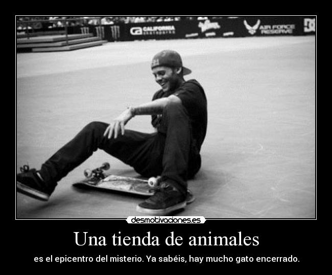 Una tienda de animales - 