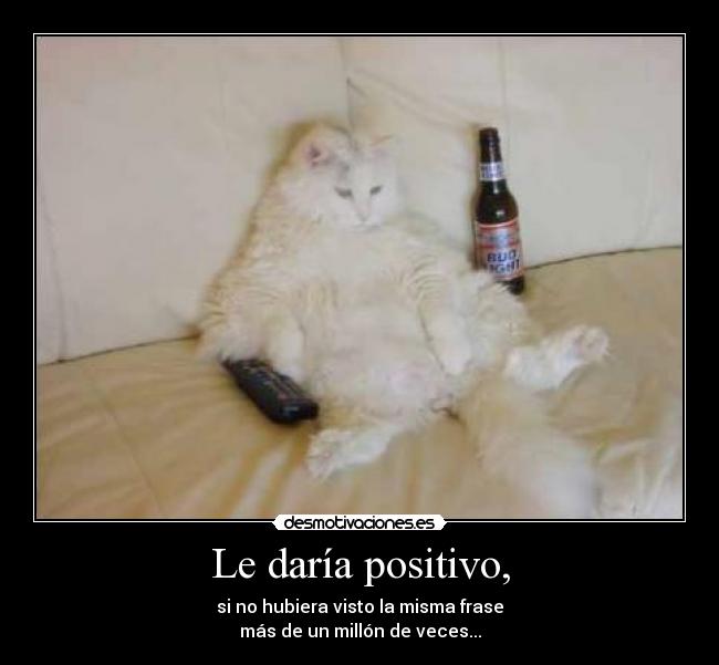 Le daría positivo, -