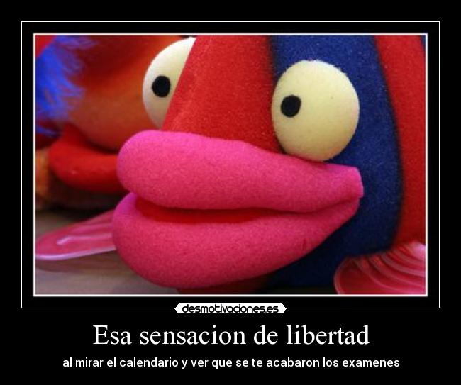 Esa sensacion de libertad - al mirar el calendario y ver que se te acabaron los examenes