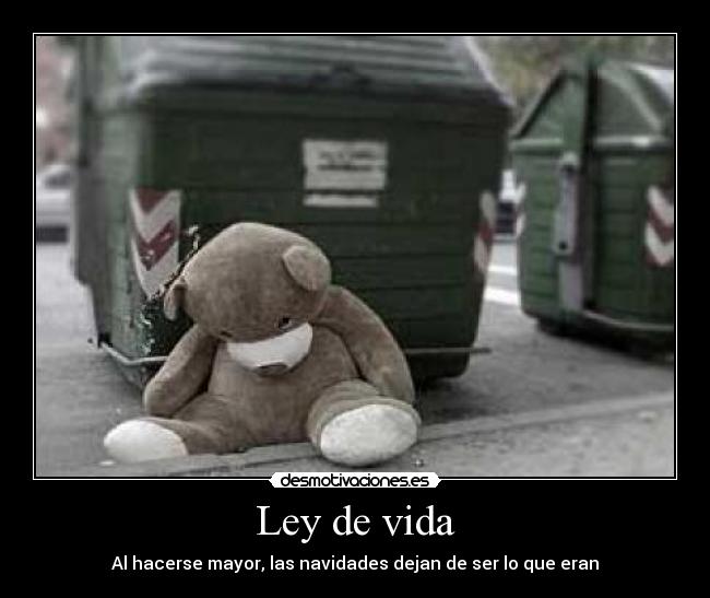 Ley de vida - Al hacerse mayor, las navidades dejan de ser lo que eran