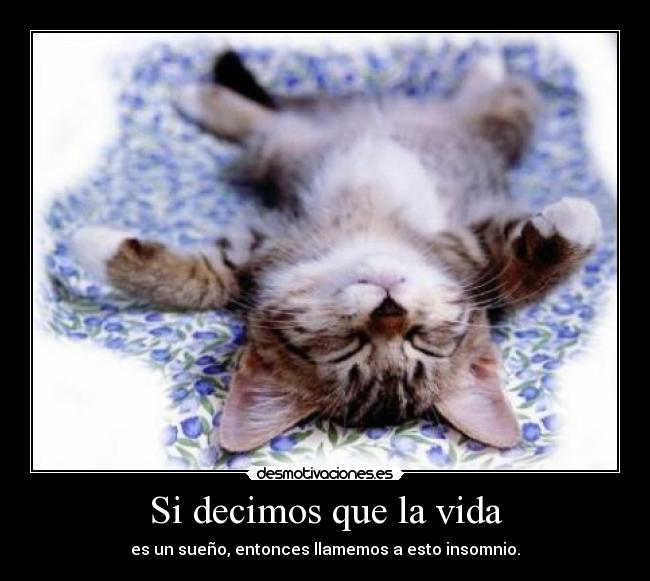 Si decimos que la vida - es un sueño, entonces llamemos a esto insomnio.